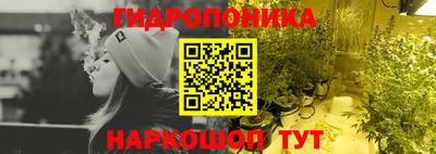 хмурый Малоярославец