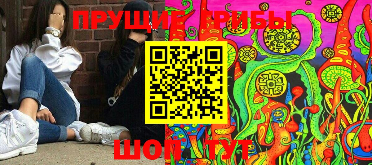 Юрга  Галлюциногенные грибы Psilocybine cubensis  где найти наркотики  Вход с VPN  Псилоцибиновые грибы ЛСД 